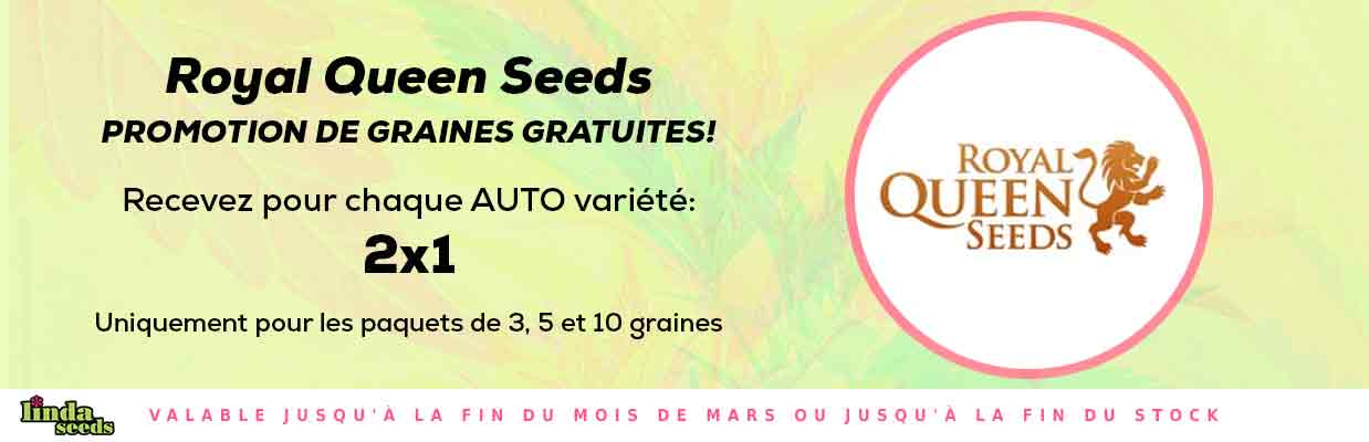 ROYAL QUEEN SEEDS PROMOTION DE GRAINES GRATUITES