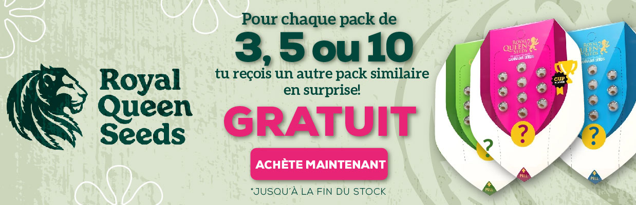 ROYAL QUEEN SEEDS PROMOTION DE GRAINES GRATUITES