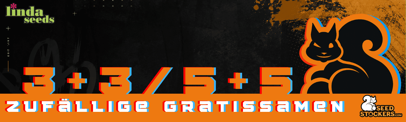 SEED STOCKERS GRATIS SAMEN AKTION SEED STOCKERS GRATIS SAMEN AKTION