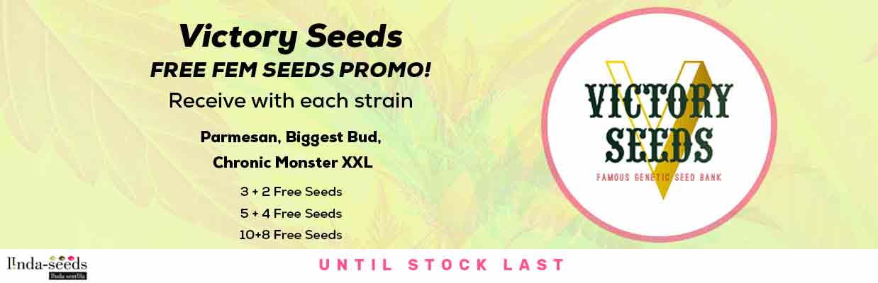 VICTORY SEEDS FREE SEEDS PROMOTION