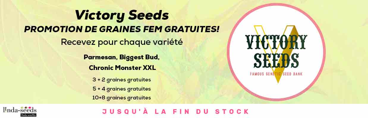 VICTORY SEEDS PROMOTION DE GRAINES GRATUITES