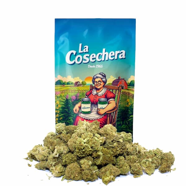 Small Buds Amnesia CBD > La Cosechera | CBD Blüten