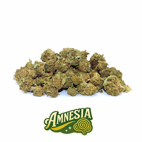 Small Buds Amnesia CBD > La Cosechera | CBD Blüten