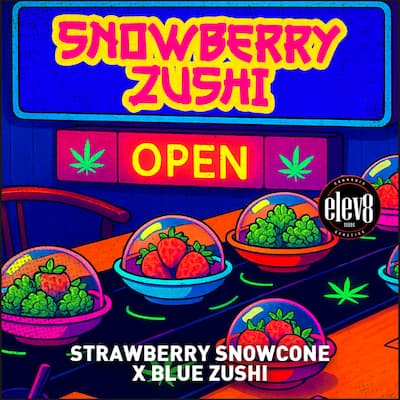 Snowberry Zushi semilla > Elev8 Seeds | Semillas feminizadas  |  Híbrido