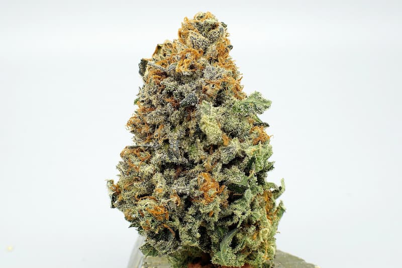 Sour Apple x Zkittlez semilla > Tramuntana Seeds | Semillas Regulares  |  Híbrido