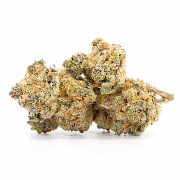 Sour Cookies graines > Mamiko Seeds | Graines Féminisées  |  Sativa