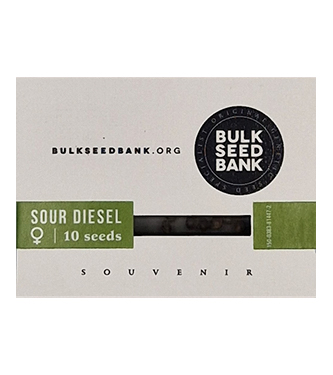 Sour Diesel > Bulk Seed Bank | Feminisierte Hanfsamen  |  Hybrid