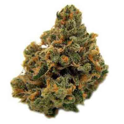 Sour Diesel > Medical Seeds Co. | Semillas feminizadas  |  Sativa