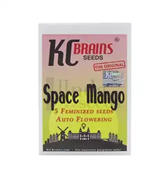 Space Mango Auto > KC Brains | Semillas de marihuana autoflorecientes  |  Índica