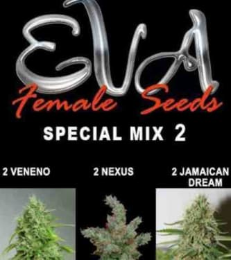 Special Mix 2 > Eva Female Seeds | Graines Féminisées  |  Hybride