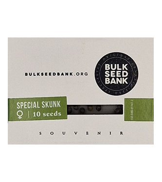 Special Skunk > Bulk Seed Bank | Feminized Marijuana   |  Indica