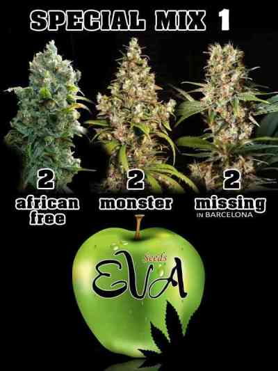 Special Mix 1 Seed > Eva Female Seeds | Feminized Marijuana   |  hybrid