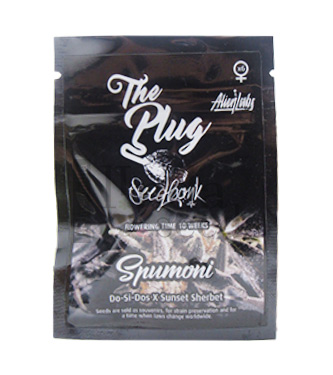 Spumoni > The Plug Seedbank | Feminisierte Hanfsamen  |  Hybrid