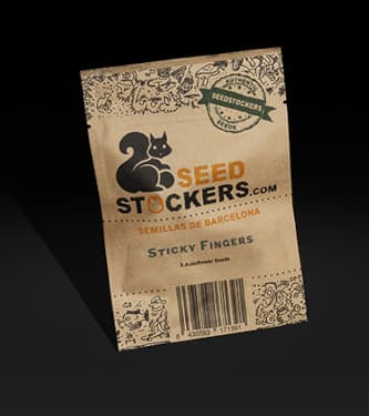 Sticky Fingers Autoflower > Seed Stockers | Autoflowering Hanfsamen  |  Hybrid