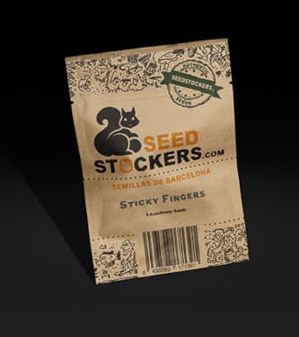 Acquista semi femminizzati Sticky Fingers Autofiorenti di Seed Stockers -  Herbies