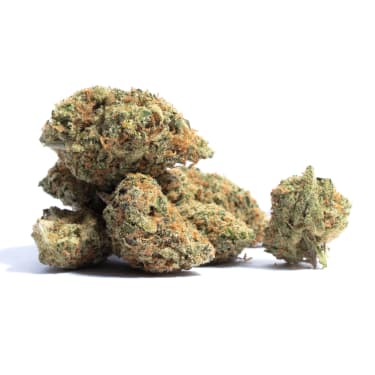 Strawberry Amnesia > Semillas a Granel | Semillas feminizadas  |  Sativa