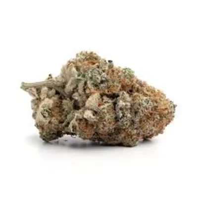 vinca potted plants Vinca Minor 1 Gallon main image 1