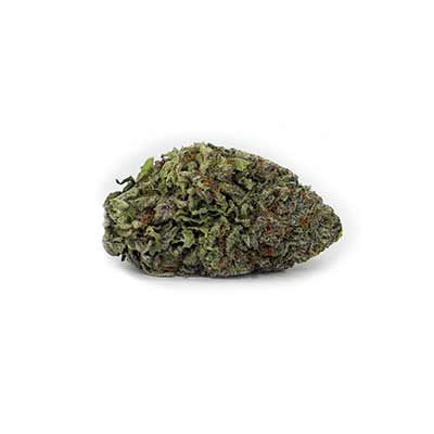 Strawnana Mints > Tramuntana Seeds | Feminisierte Hanfsamen  |  Indica