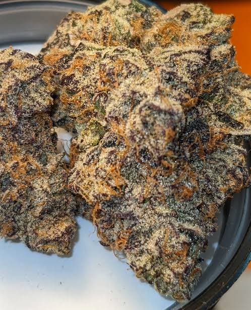 Summer Slammer Seed > Mamiko Seeds | Regular Cannabis   |  Hybrid