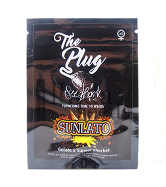 Sunlato > The Plug Seedbank | Graines Féminisées  |  Sativa