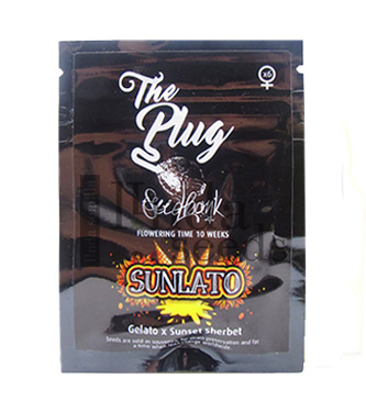 Sunlato > The Plug Seedbank | Feminisierte Hanfsamen  |  Sativa