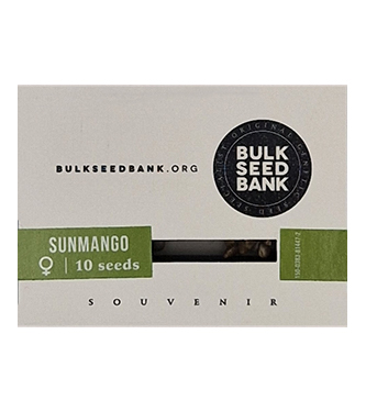 Sunmango > Bulk Seed Bank | Graines Féminisées  |  Indica