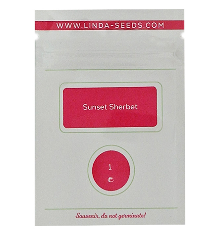 Sunset Sherbet > Linda Seeds | Cannabis seeds recommendations  |  Affordable Cannabis