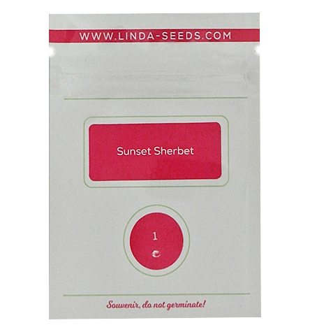 Sunset Sherbet > Linda Seeds | NOS RECOMMANDATIONS DE GRAINES DE CANNABIS  |  Graines de Cannabis à prix bas