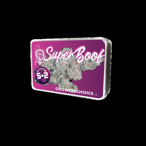 Super Boof Seed > Growers Choice | Feminized Cannabis   |  Hybrid