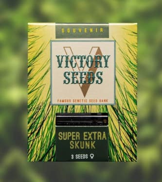 Super Extra Skunk > Victory Seeds | Feminized Marijuana   |  Indica