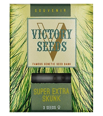 Super Extra Skunk > Victory Seeds | Feminized Marijuana   |  Indica