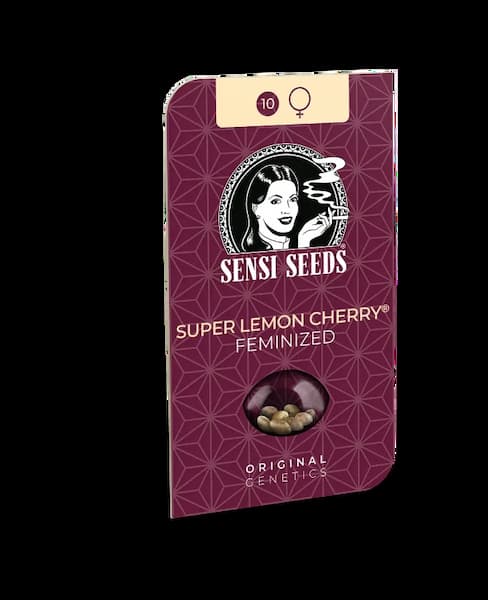 Super Lemon Cherry Seed > Sensi Seeds | Feminized Cannabis   |  Hybrid