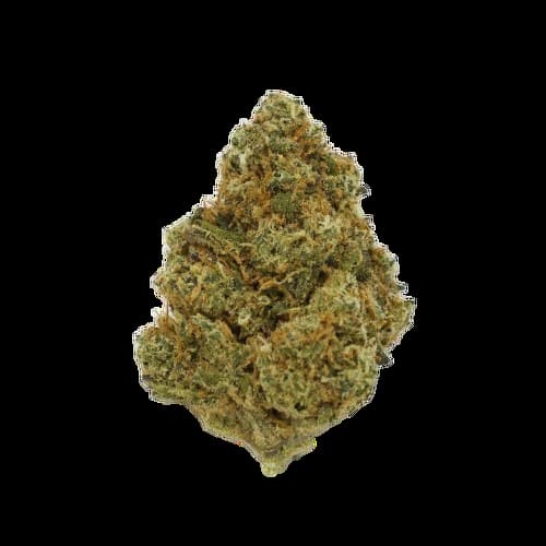Super Lemon Haze CBD > North Spices | CBD Flowers
