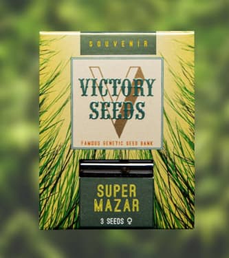 Super Mazar > Victory Seeds | Feminized Marijuana   |  Indica