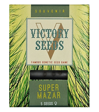 Super Mazar > Victory Seeds | Feminisierte Hanfsamen  |  Indica