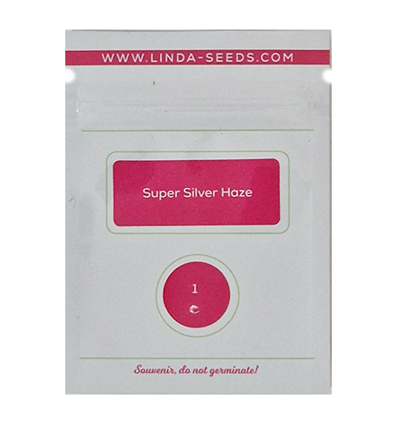 Super Silver Haze > Linda Seeds | Hanfsamen Empfehlungen  |  Günstige Hanfsamen