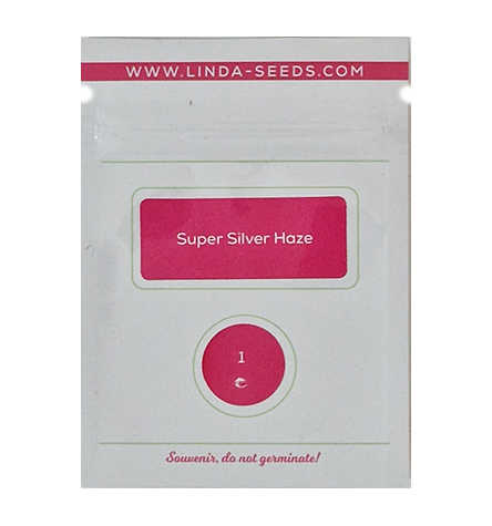 Super Silver Haze > Linda Seeds | NUESTRAS RECOMENDACIONES DE SEMILLAS DE MARIHUANA  |  Semillas Baratas