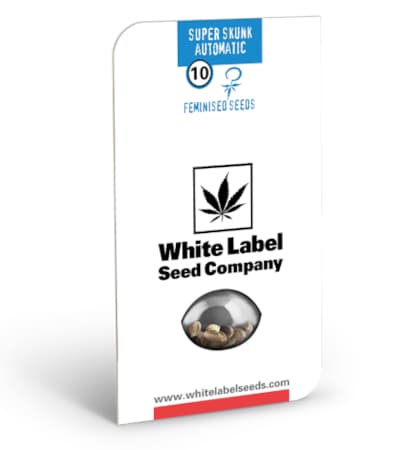 Super Skunk Automatic > White Label Seeds | Autoflowering Hanfsamen  |  Indica