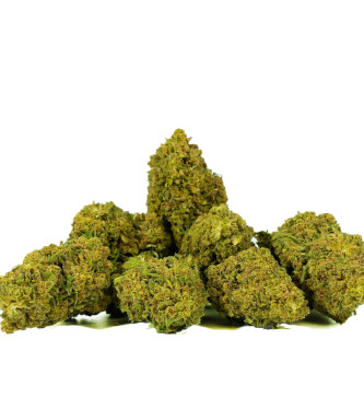 Super Skunk Only CBD Fans > CBD weed | CBD Products