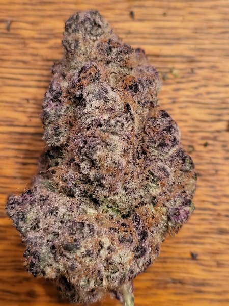 Super Boof X Motorbreath Seed > Green House Seed Co | Feminized Cannabis   |  Hybrid