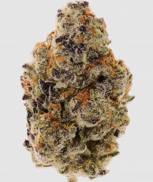 SuperSoda F1 graines > Royal Queen Seeds | Graines Féminisées  |  Hybride