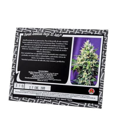 Sweet Amnesia Haze XL Auto > Sweet Seeds | Autoflowering Cannabis   |  Sativa
