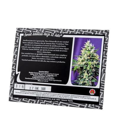 Sweet Amnesia Haze XL Auto > Sweet Seeds | Graines Autofloraison  |  Sativa