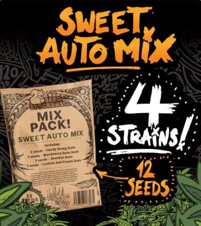 Sweet Auto Mix > Seed Stockers | Autoflowering Cannabis   |  Hybrid