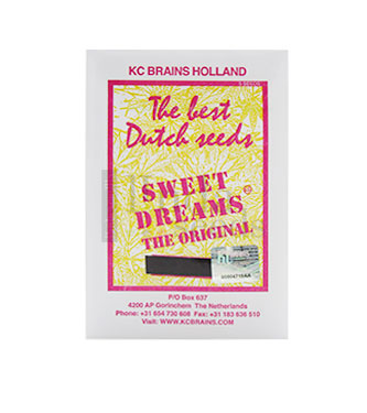 Sweet Dreams > KC Brains | Graines Féminisées  |  Hybride