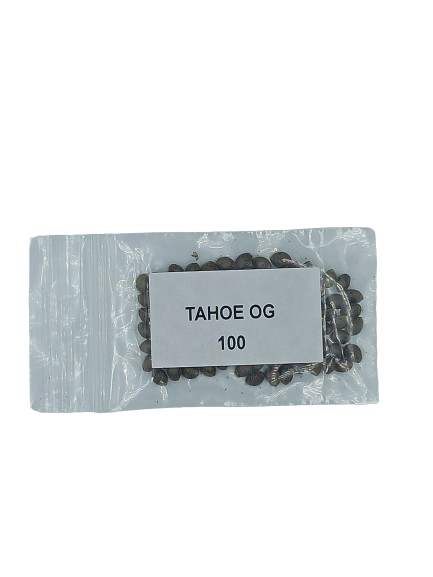 Tahoe OG > Bulk Seeds | Feminized Marijuana   |  Indica