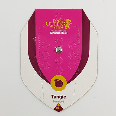 Tangie > Royal Queen Seeds | Feminized Cannabis   |  Sativa