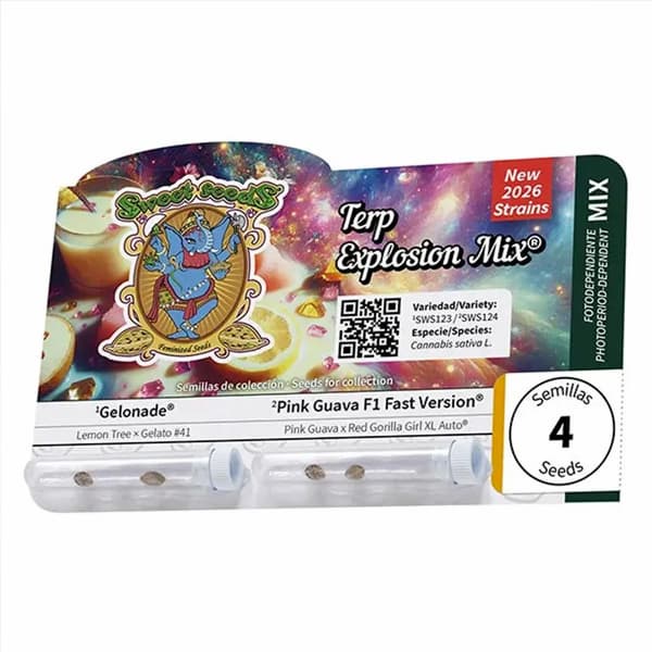 Terp Explosion Mix semilla > Sweet Seeds | Semillas feminizadas  |  Híbrido