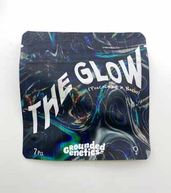 The Glow > Grounded Genetics | Semillas feminizadas  |  Híbrido