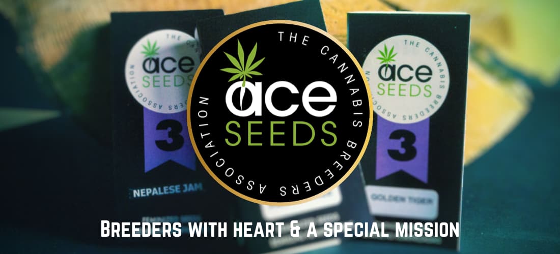 ACE Seeds - un banco de semillas español con variedades innovadoras